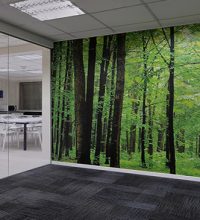 עיצוב פנים משרדים